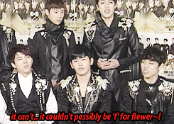 chandoo:  hoya reveals the real meaning(?) behind infinite face flower f 