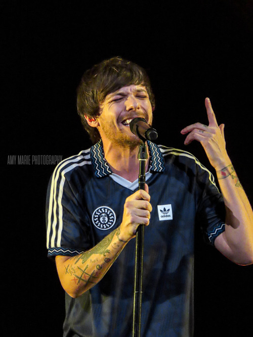 lthqs:Louis performing at Poptopia by Amy Marie