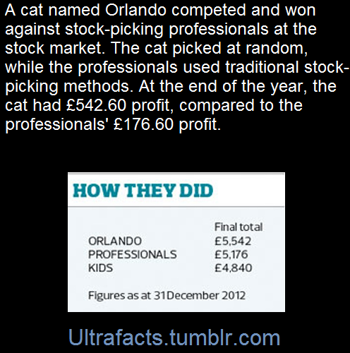 ultrafacts:  Each team invested a notional £5,000 in five companies from the FTSE