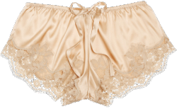 transparent-lingerie:Dolce & Gabbana,