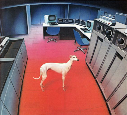 sisterreisaid:yodaprod:Greyhound Computer