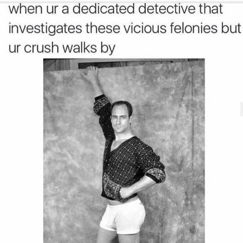 This one always has me weak. 😂😅  #funny #meme #lawandordersvu #elliotstabler #sexy #poser