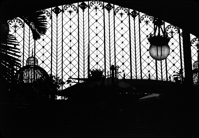 Atocha… en días como hoy no hay tiempo, sólo dolores de todas las distancias
“…
Y tu mirada se clavo en mis ojos
Y tu sonrisa se instaló en mi cara
y se esfumó la ‘estación’, la gente,
y el miedo se escapo por la ventana.
…
Y nuestros cuerpos...