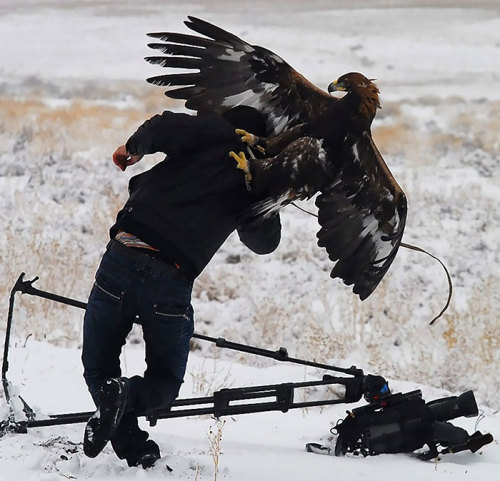 hypnotic-flow:  19withbonyknees:  National Geographic photographers are metal as fuck  actually thought about doing this for a profession..   My only question here is who is photographing the photographers?