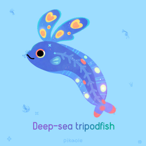 Baby fish[ Patreon / shop / galaxy themes / insta ]