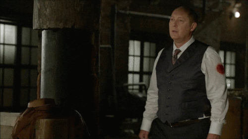 It’s Unhealthy For Me To Work With Someone Like Reddington.