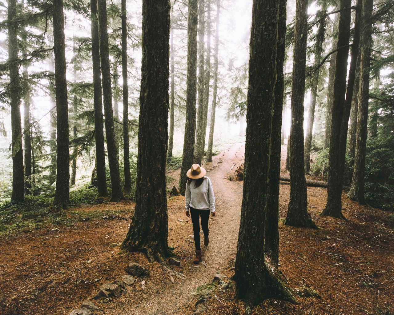 expressions-of-nature