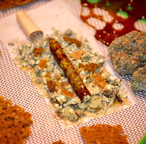 Pot head Paradise
