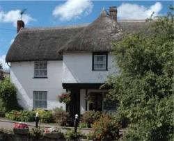 thatched cob cottage