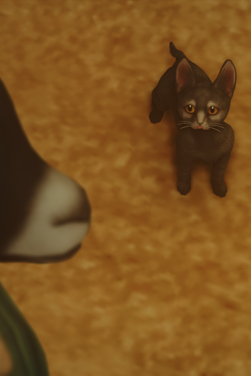 I'm Still The Favorite Right Momm? Mommmmmmmmm????