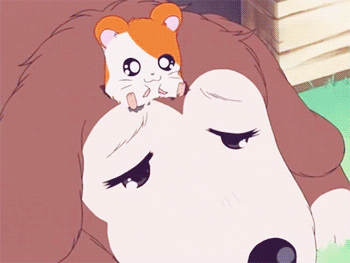 Hamtaro Movie Explore Tumblr Posts And Blogs Tumgir