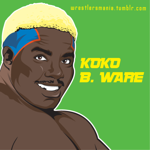 The Birdman, Koko B. Ware. I know there are a lot of fans out there. Me, I think he was fun, but he 