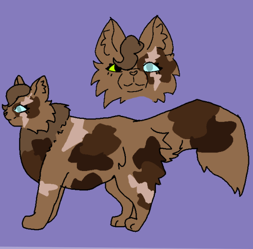 Warrior Cats Art Progress