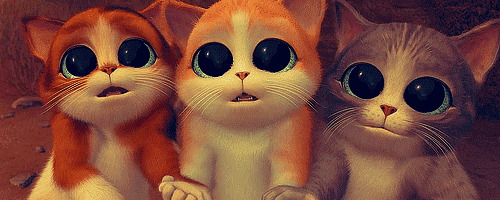definitionofdisney:  If you love Disney you must follow this blog! 