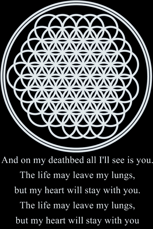 Wild Heart