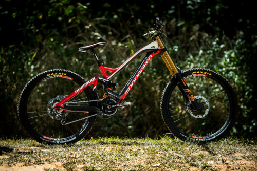 aces5050: (via 24 Custom Painted DH Bikes at Cairns World Champs 2017 - Pinkbike)