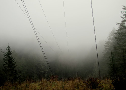 Dry Creek Falls Trail, Oregon December, 2013