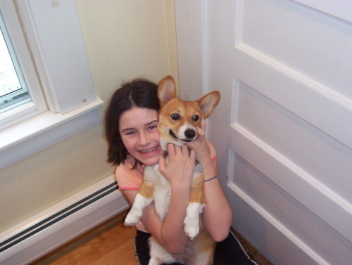 thingsonhazelshead:Hazel Simone Zildjianc. February 2003 – November 4th 2018“Corgis are enchanted. Y