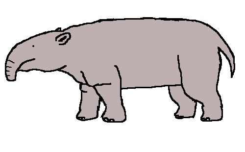 Moeritherium - Late Eocene (33-37 Ma)Welcome back to the Mammal Zone™, we&rsquo;re gonna b