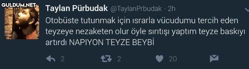 Taylan Pürbudak...