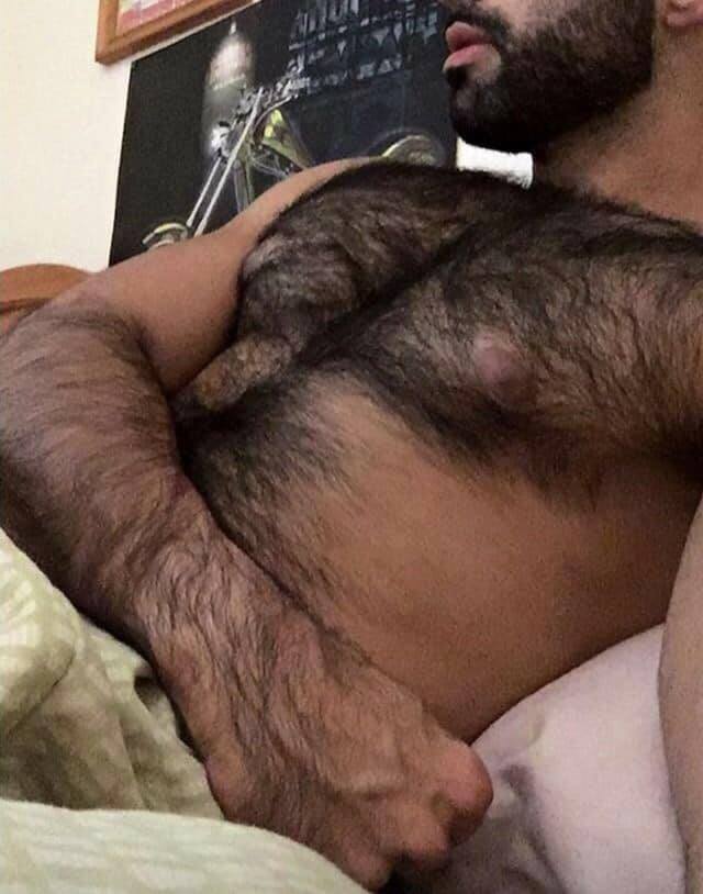 YummyHairyDudes