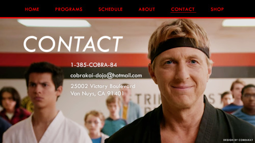 cobrakay:Cobra Kai Karate website mockup, Part 1 / 2 (click for bigger versions)Credits: @bitkahsfan