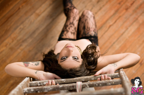 babes-palace: - Felina Suicide -  DEVIL PLAYTHING