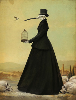 obsessedwithskulls:  Top hat bird lady bids