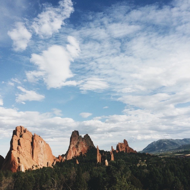 danielodowd:  manzanita 