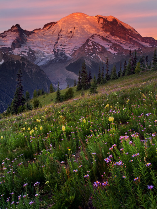 woodendreams:  (by Rick Lundh)