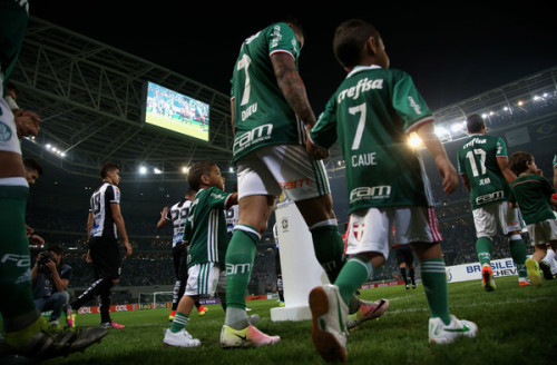 palmeiras