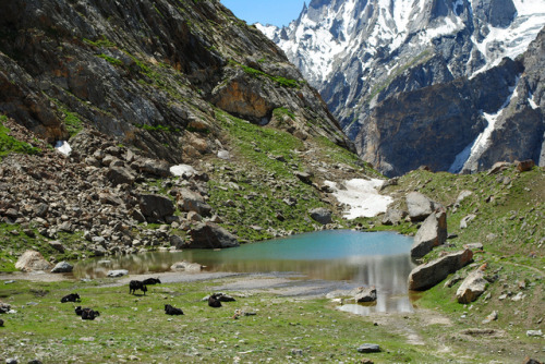 A  small lake in Dalsampa, Hushe Valley, Pakistan.(Source)