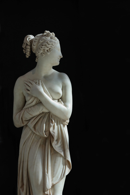 classical-beauty-of-the-past:Venus - Metropolitan Museum of Art