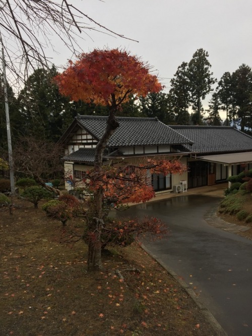 Today I went on a hike in the Koharagi area of the Karakuwa Peninsula, in Kesennuma, Japan!  Th