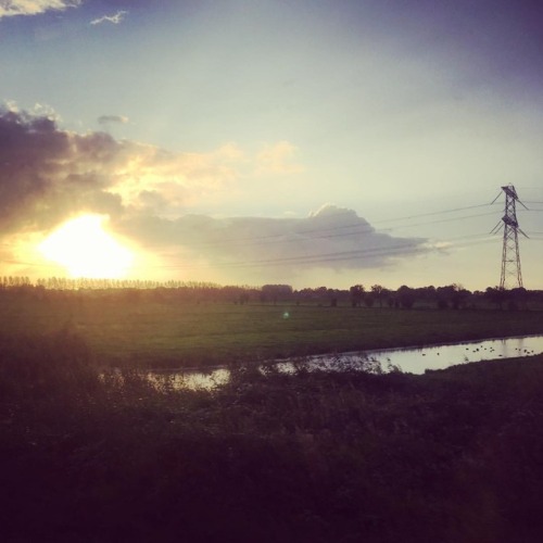 #treinleven #uitzicht #onmywaytowork #polder #lovethisview