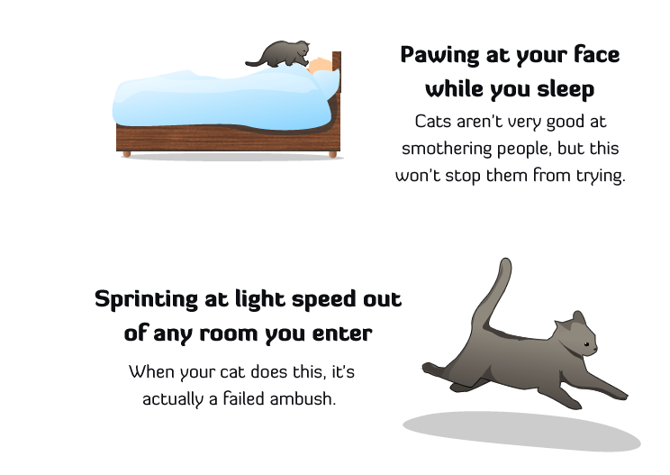 Wordsnquotes How To Tell If You Cat Is Plotting To Kill You By The wordsnquotes-how-to-tell-if-you-cat-is-plotting-to-kill-you-by-the