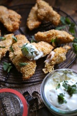 fattributes:  Jalapeno Cheddar Baked Chicken Strips 