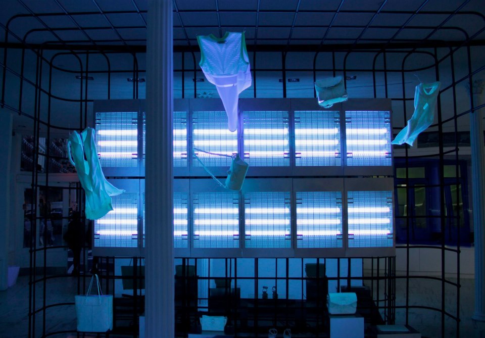 itsglowing:   its glowing 