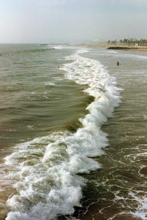 rootlessly:  film archives: venice beach,