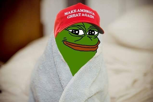 donaldtrumppepe:  This is how comfy I feel right now during the Trump Protest / riots