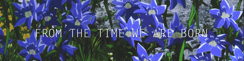 sexagaki-inactive:   12 days of snk → favorite quote  “From the time we are