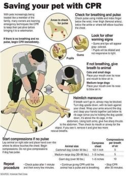 geile-hoer:  i-want-spankings:  Reblog to save a dog.  I hope this can be helpful  As a pet lover&hellip; it&rsquo;s important to share 