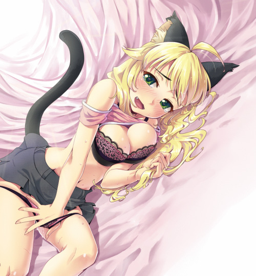 getyournekoshere:  Nekos in lingerie… my dream <3