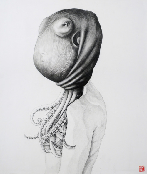 mirrormaskcamera:Octopus part IIGraphite on paper, 45 x 50 cm.by lantomo (Antonella Montes)