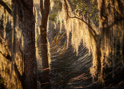 hueandeyephotography