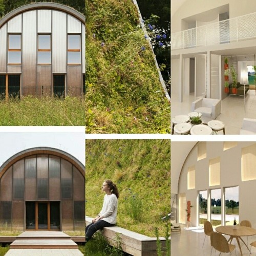 #Public #Housing in #France Surfs the #Green #Roof #Wave By Architizer ©  http://architizer.com/blog/la-maison-vague/  #home 🏡 #architecture #archi #architizer