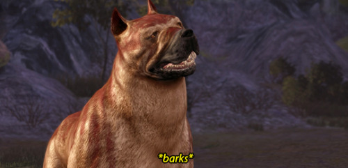 incorrectdragonage:Alistair: You know what I love most about our mabari? His sense of humor.Dog: *ba