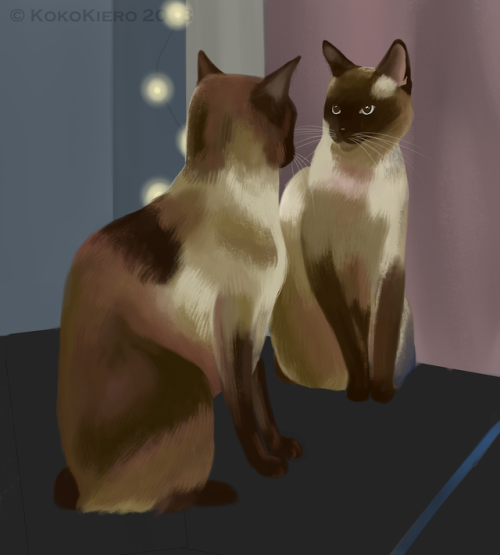 Quick, loose painting I did of my two Siamese based on a picture I took of them. Kind of looks like 