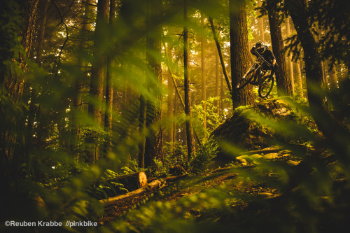 chirosangaku:  Rule of Thirds 1/3 - Welcome to the Fraser Valley - Pinkbike