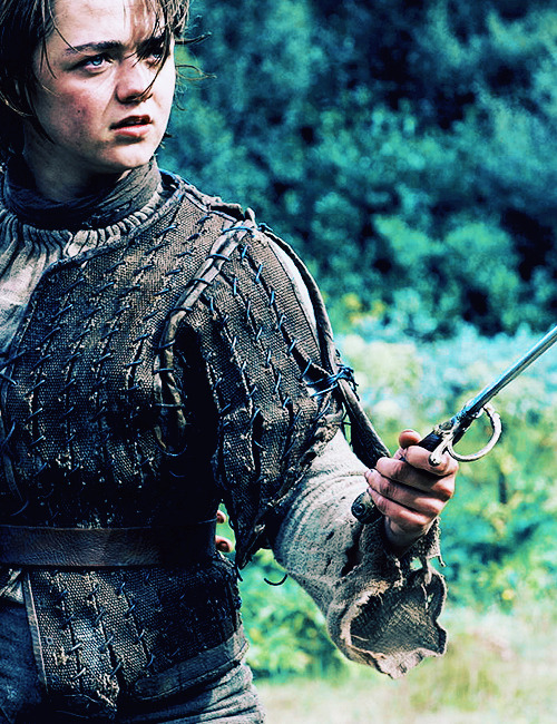 margrytyrells:  Stark Sisters  bastards  